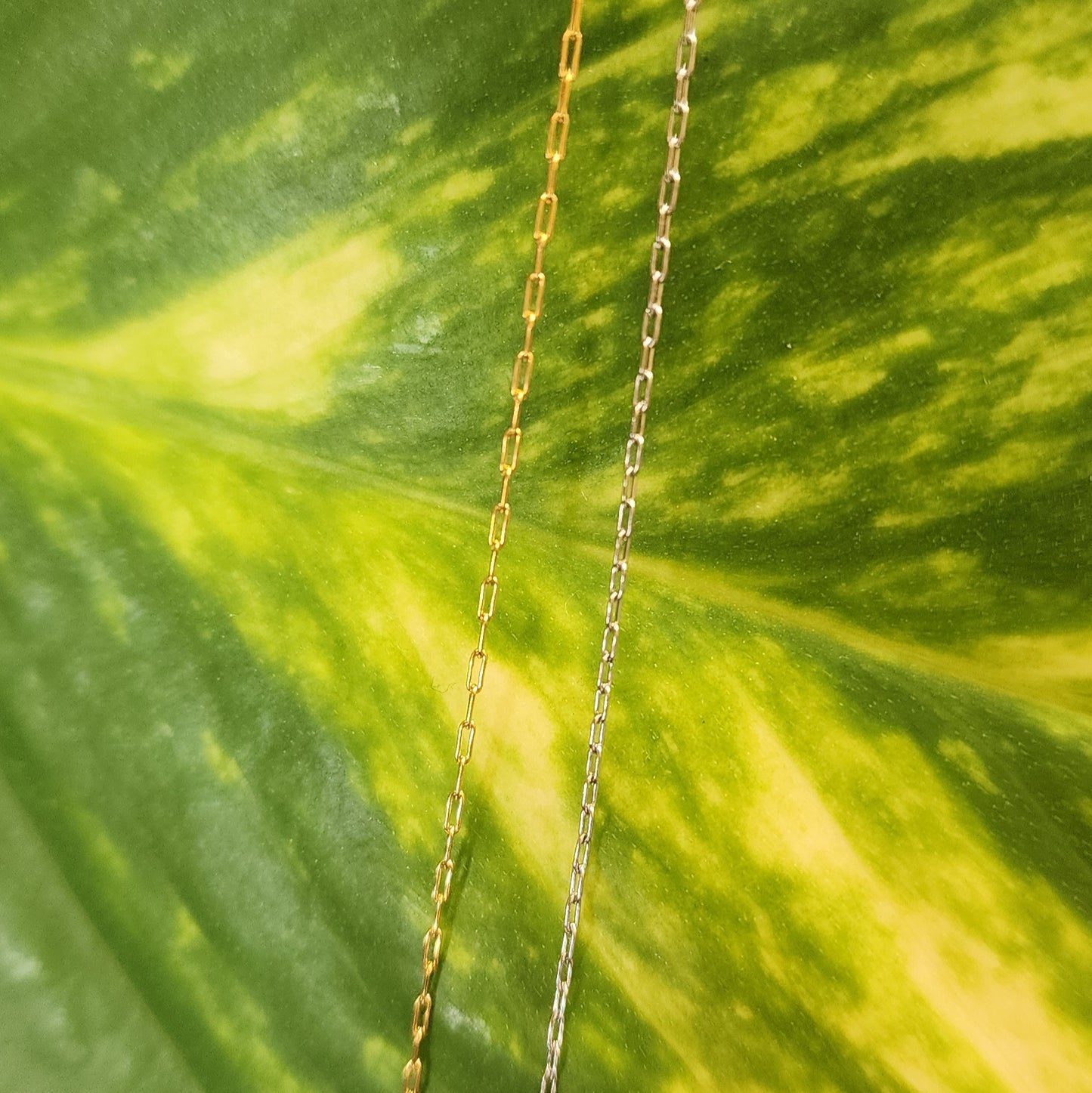 Preorder: Dainty Cable Chain by the foot